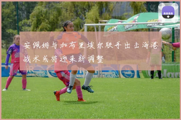 安佩姆与加布里埃尔联手出击海港战术或将迎来新调整